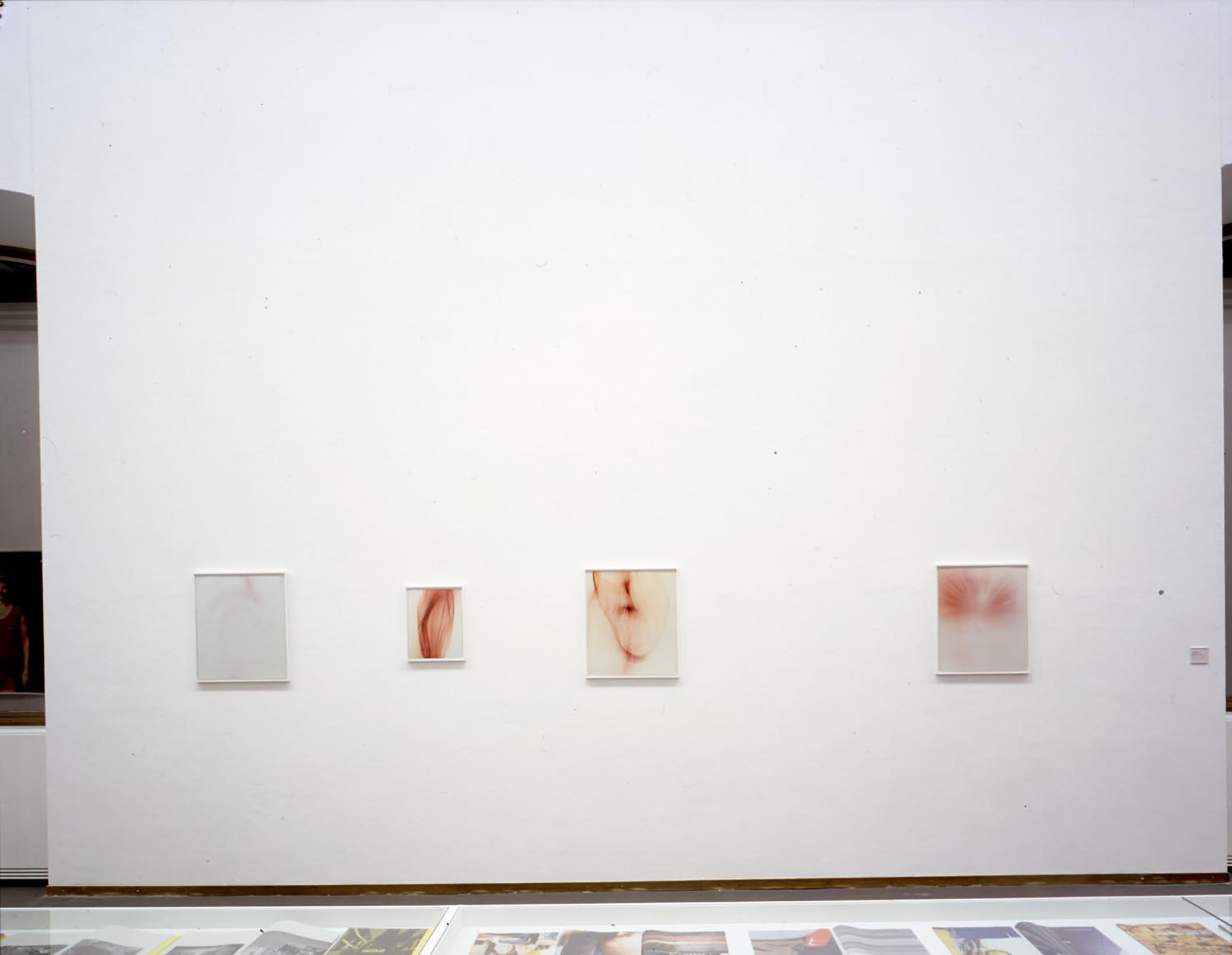 u0022Wolfgang Tillmansu0022, veduta espositiva